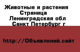  Животные и растения - Страница 12 . Ленинградская обл.,Санкт-Петербург г.